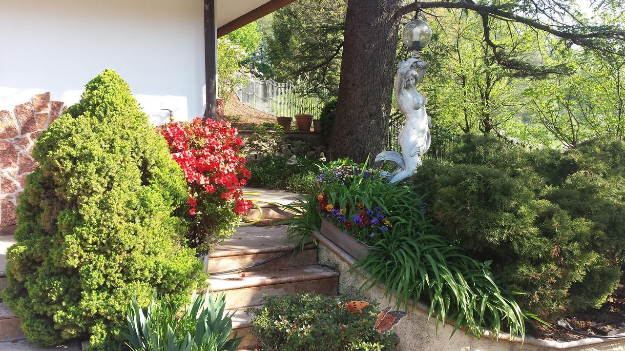 B&B Al Cedro 스포르미노레 외부 사진
