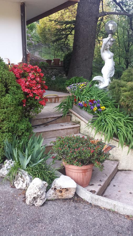 B&B Al Cedro 스포르미노레 외부 사진